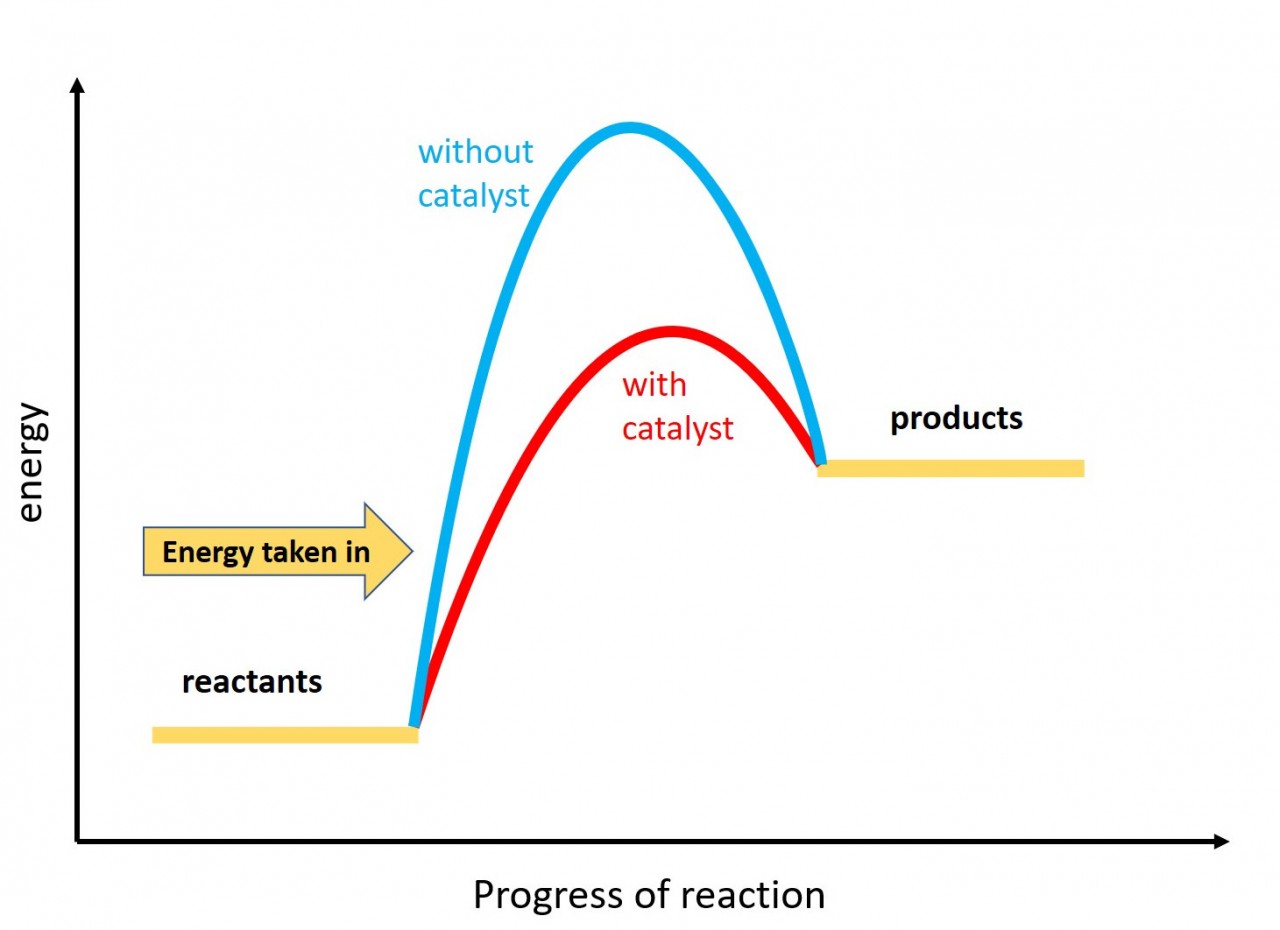 Endothermic reaction profile